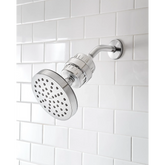 Shower Filter Unit with Filtration Cartridge