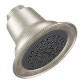 Commercial Chrome showerhead