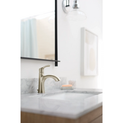 Ash One-handle Bathroom Sink Faucet