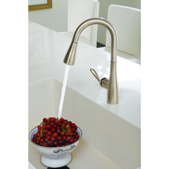 Arbor Chrome one-handle high arc pulldown single mount bar faucet