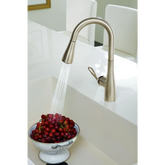 Arbor Chrome one-handle high arc pulldown single mount bar faucet