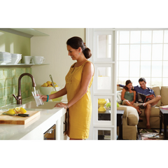 Arbor One-Handle Pulldown Bar Faucet