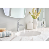 Gibson One-handle Bathroom Sink Faucet