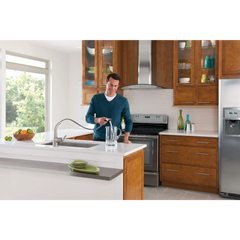 Arbor Chrome One-Handle High Arc Pullout Kitchen Faucet