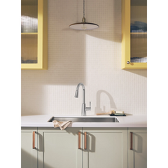 Riley High Arc Pulldown Kitchen Faucet