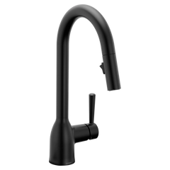 Chateau Matte black one-handle kitchen faucet