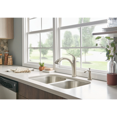 Camerist One-Handle Pullout Kitchen Faucet