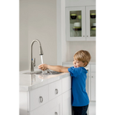Arbor Chrome One-Handle High Arc Pulldown Kitchen Faucet