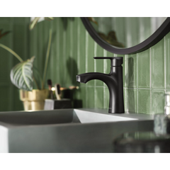 Findlay One-handle Bathroom Sink Faucet
