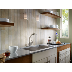Neva Chrome one-handle high arc pullout kitchen faucet