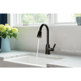 Wellsley One-handle High Arc Pulldown Kitchen Faucet