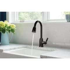 Wellsley One-handle High Arc Pulldown Kitchen Faucet