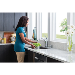 Kinzel Chrome one-handle low arc pullout kitchen faucet
