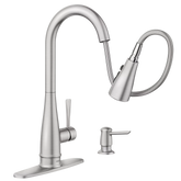 Birchfield ™ Pulldown Kitchen Faucet