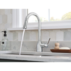 Adler One-Handle High Arc Pulldown Kitchen Faucet