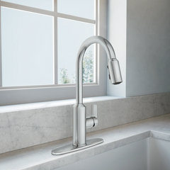 Meena One-Handle High Arc Pulldown Kitchen Faucet