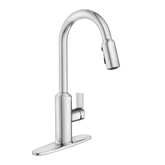 Meena One-Handle High Arc Pulldown Kitchen Faucet