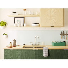 Stevie Two-handle High Arc Kitchen Faucet