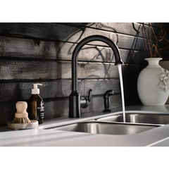 Bayhill Pulldown Kitchen Faucet