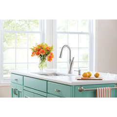 Benson Spot Resist Stainless One-Handle High Arc Pulldown Kitchen Faucet