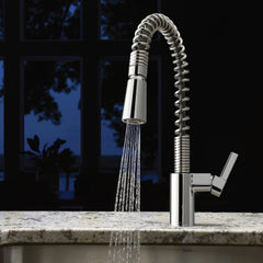 Irvine Chrome One-Handle High Arc Pulldown Kitchen Faucet