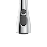 Arlia Chrome one-handle high arc pulldown kitchen faucet