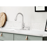 Haelyn One-Handle High Arc Pulldown Kitchen Faucet