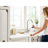 Lucira One-handle High Arc Pulldown Kitchen Faucet