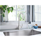 Judith One-Handle High Arc Pulldown Kitchen Faucet