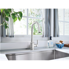Judith One-Handle High Arc Pulldown Kitchen Faucet
