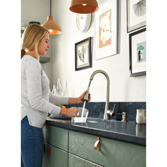 Sarai Kitchen Faucet