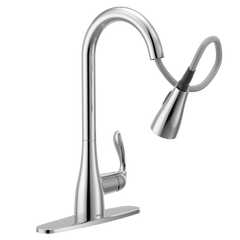 Georgene One-Handle High Arc Pulldown Kitchen Faucet