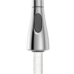 Georgene One-Handle High Arc Pulldown Kitchen Faucet
