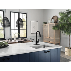 Lilibeth One-Handle High Arc Pulldown Kitchen Faucet