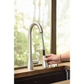 Georgene Spot resist stainless one-handle high arc pulldown kitchen faucet