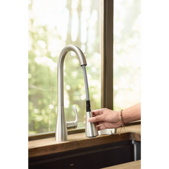 Georgene Spot resist stainless one-handle high arc pulldown kitchen faucet