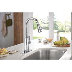 Coretta One-Handle Pulldown Kitchen Faucet