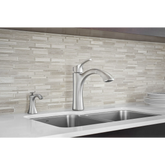 Transitional Soap Dispenser