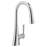 Kurv Chrome one-handle high arc pulldown kitchen faucet