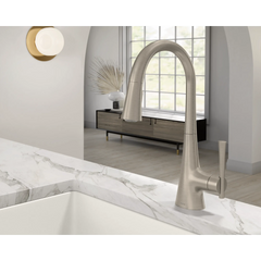 Kurv One-Handle High Arc Pulldown Kitchen Faucet