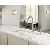 Kurv One-Handle High Arc Pulldown Kitchen Faucet
