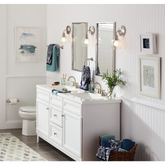Sage Brushed nickel Towel Bar/Towel Ring