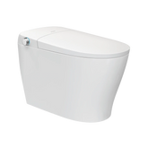 3-Series Electronic Cleansing Toilet