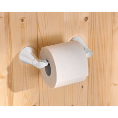 Graeden Chrome pivoting paper holder