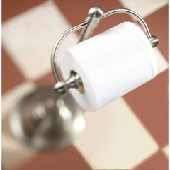 Sage Brushed nickel Freestanding Toilet Paper Holder