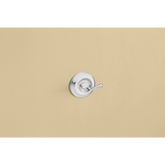 Madison Chrome Double Robe Hook