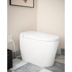 3-Series Electronic Cleansing Toilet