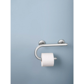 Chrome 8" Grab Bar with Toilet Paper Holder