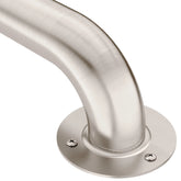 Moen Home Care Stainless 12" Exposed Screw Grab Bar