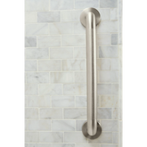 Moen Home Care 42" Concealed Screw Grab Bar